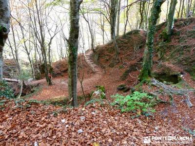 Parques Naturales Urbasa-Andía y Aralar - Nacedero del Urederra; viajes en otoño